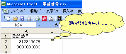 csv開く_例.gif